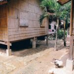 kelebihan rumah panggung