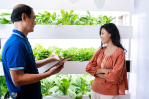 Bisnis sayuran organik